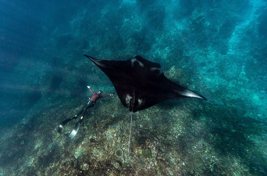 Nusa penida