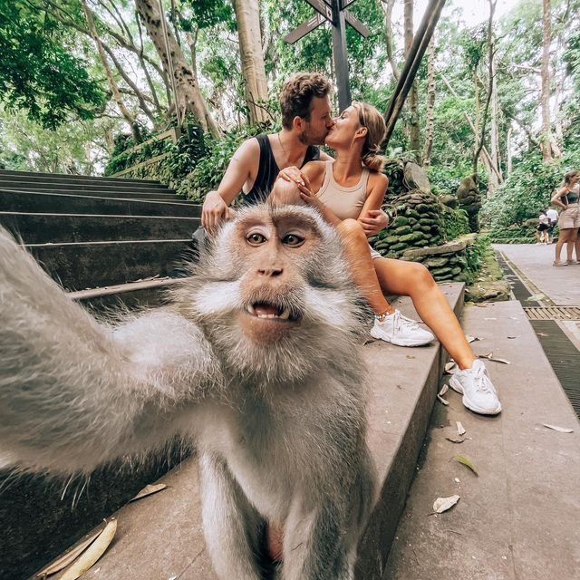 ubud monkey forest