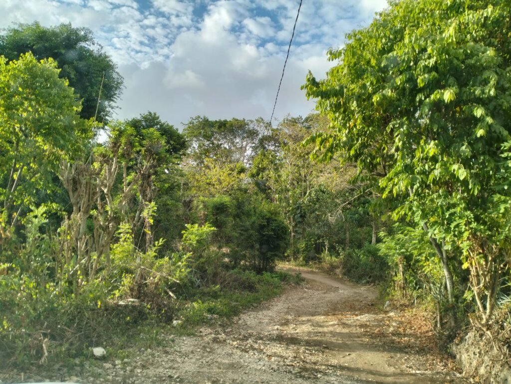 nusa penida road