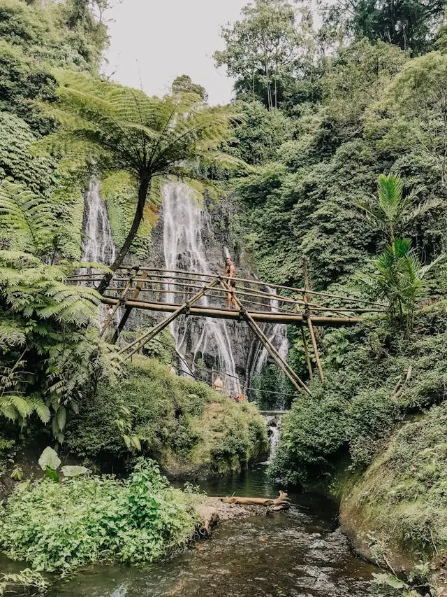 banyumala twin waterfalls