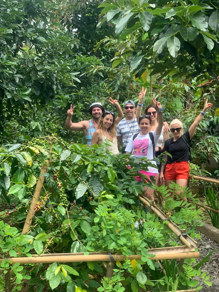 coffee plantation ubud