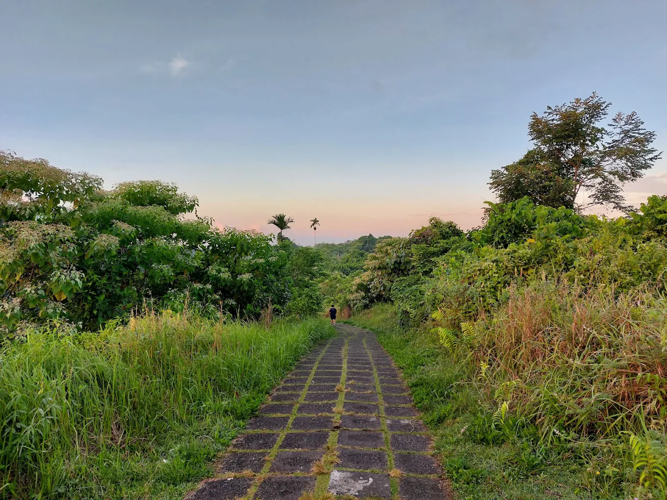 ubud bali hidden gems